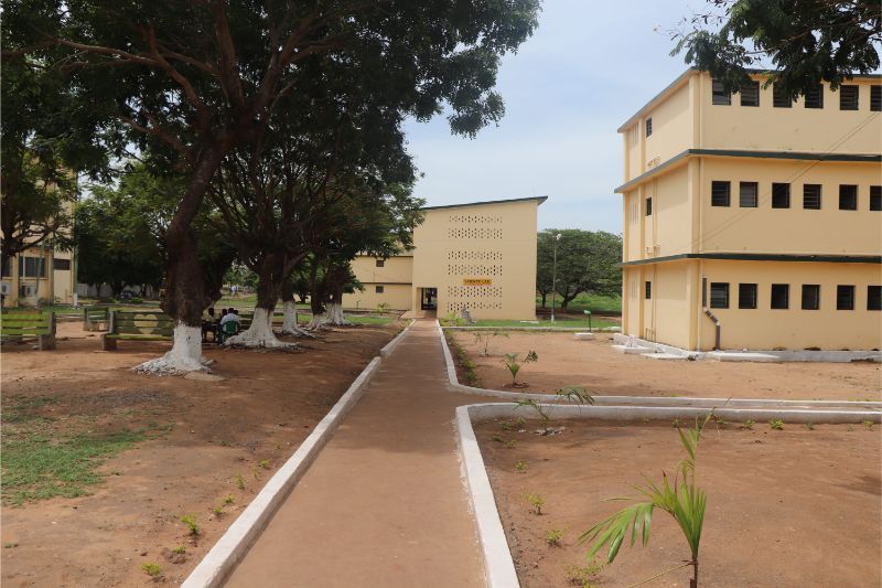 Campus & School Life at TEMASCHO